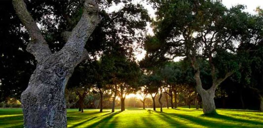 Campo de golf Valderrama (Sotogrande, Cádiz)