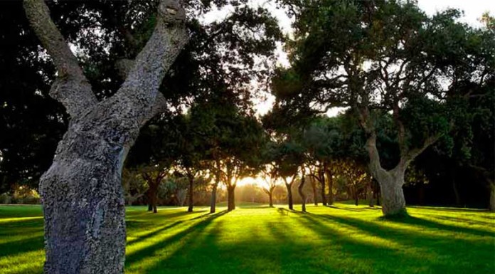 Campo de golf Valderrama (Sotogrande, Cádiz)