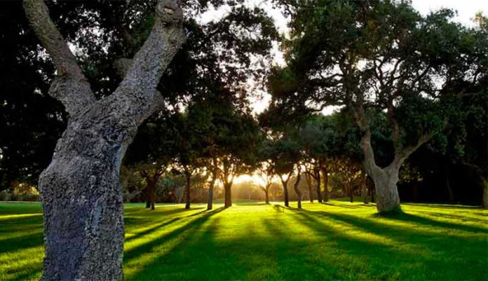 Campo de golf Valderrama (Sotogrande, Cádiz)