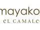 Logotipo oficial del Camaleón Mayakoba