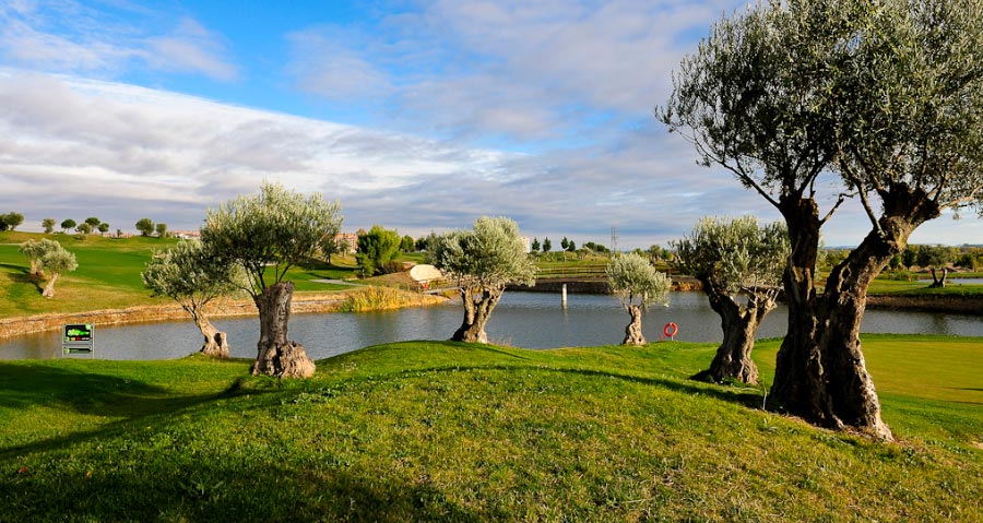Campo de Golf Sotoverde en Valladolid | MundoGolf.golf