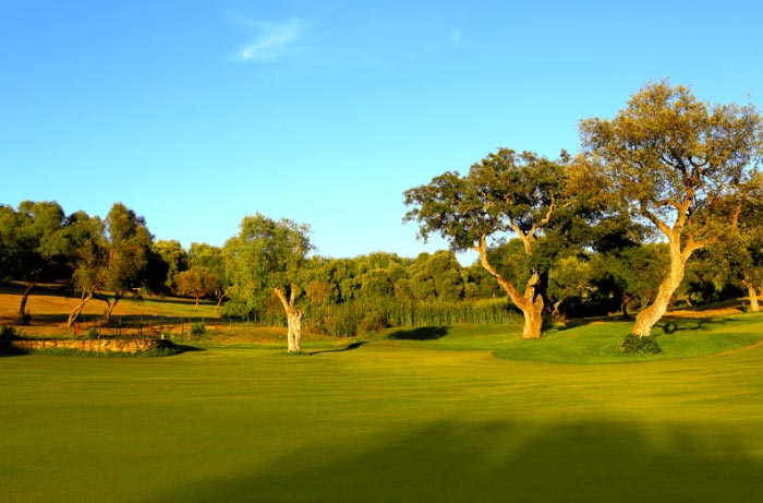 Isologotipo Montenmedio Golf y Country Club | MundoGolf.golf