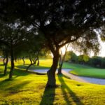 Relajante vista del campo de golf Montenmedio Golf y Country Club | MundoGolf.golf