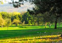 Hoyo El Recodo - Real Club de Golf de Castiello